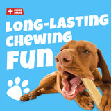 Swisscowers Cheese Bar for Dogs, 80g - Long Chewing Pleasure, Made with 100% Swiss Milk, Lactose-free, Gluten-Free, No Preservatives, 2 Flavors (Original or Truffle)