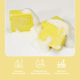 EcoBrick Mild Acidic Shampoo Bar (3 Types)