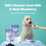 It's Goat! Blueberry!
