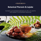 Wonder Pterosin Zero Sugar Liquid Tea with Jujube – Herbal Botanical Extract Drink, Ready-to-Drink Wellness Tea Sachets, 2.37 fl oz (70 ml) x 30 Sachets