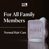 EcoBrick Mild Acidic Shampoo Bar (3 Types)