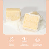 EcoBrick Mild Acidic Shampoo Bar (3 Types)