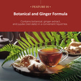 Wonder Pterosin Original Liquid Tea with Ginger and Jujube – Herbal Botanical Extract Drink, Ready-to-Drink Wellness Tea Pouches, 2.37 fl oz (70 ml) x 30 Sachets