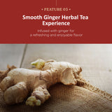 Wonder Pterosin Original Liquid Tea with Ginger and Jujube – Herbal Botanical Extract Drink, Ready-to-Drink Wellness Tea Pouches, 2.37 fl oz (70 ml) x 30 Sachets