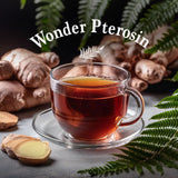 Wonder Pterosin Original Liquid Tea with Ginger and Jujube – Herbal Botanical Extract Drink, Ready-to-Drink Wellness Tea Pouches, 2.37 fl oz (70 ml) x 30 Sachets
