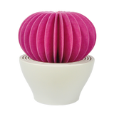 Cactus Non-Electric Personal Humidifier in Hot Pink