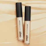 OBgE Scene Steal Concealer