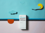 Skinmiso Pore Zero Night Cream