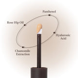 OBgE Scene Steal Concealer