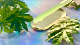 LALARECIPE Hempseed Serum